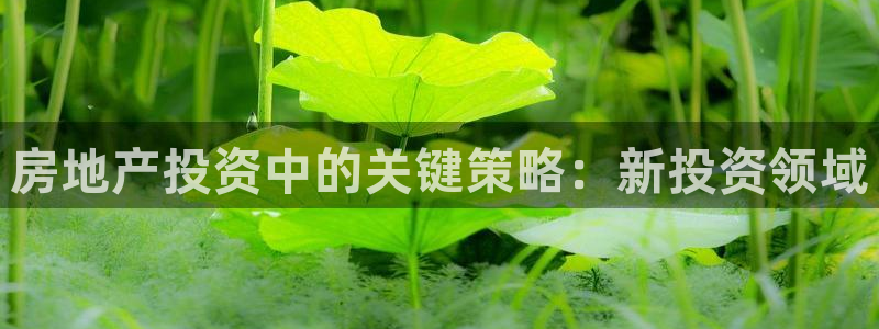 和记官网首页：房地产投资中的关键策略：新投资领域
