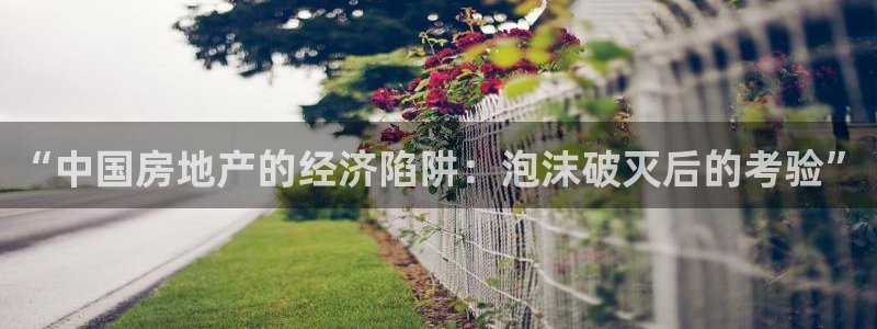 和记娱乐唯一官网：“中国房地产的经济陷阱：泡沫破灭后的考验”