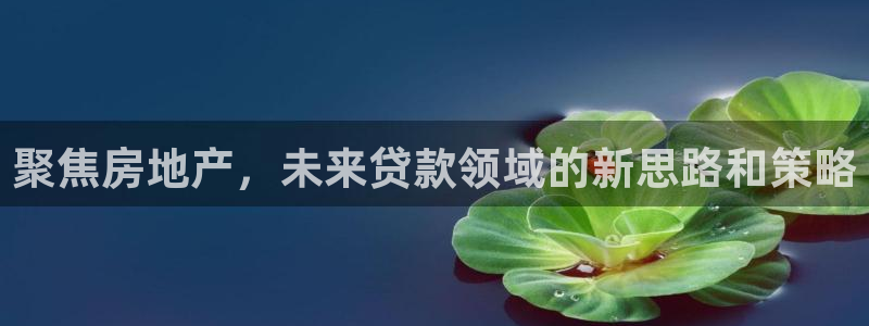 和记万佳官网：聚焦房地产，未来贷款领域的新思路和策略