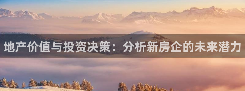 和记电讯 官网：地产价值与投资决策：分析新房企的未来潜力