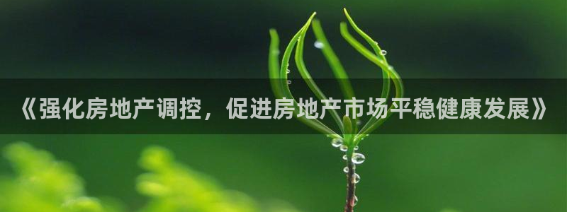 和记怡情博物官网：《强化房地产调控，促进房地产市场平稳健康发