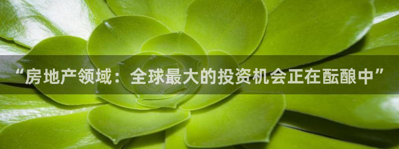 和记娱乐h8官网：“房地产领域：全球最大的投资机会正在酝酿中