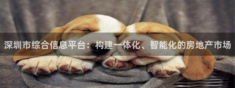 和记怡情视频在线官网
