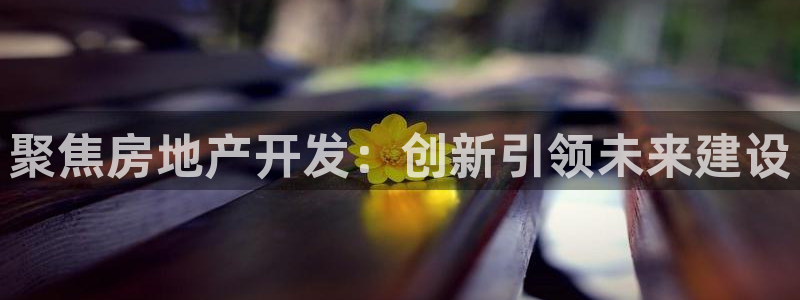 和记集团官网：聚焦房地产开发：创新引领未来建设