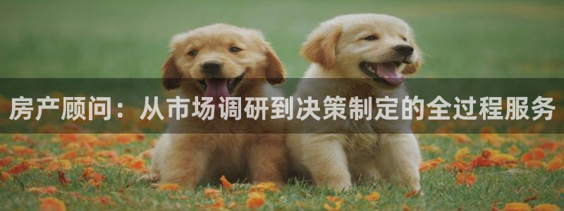 和记娱就问h88285官网：房产顾问：从市场调研到决策制定的