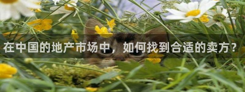 和记官网进入：在中国的地产市场中，如何找到合适的卖方？