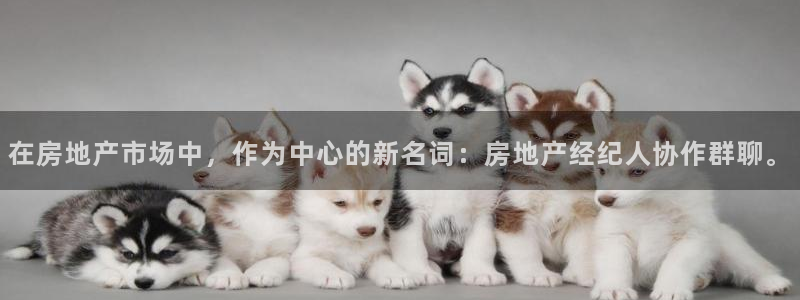 和记娱乐 怡情搏娱官网：在房地产市场中，作为中心的新名词：房