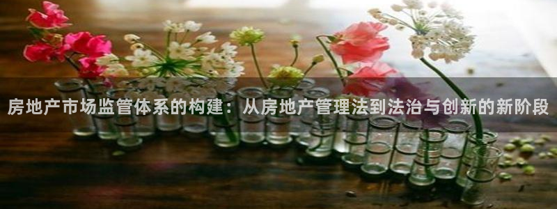 和记电讯 官网：房地产市场监管体系的构建：从房地产管理法到法