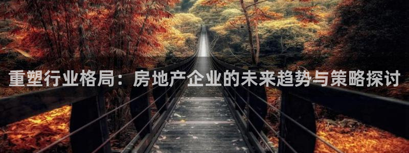 和记集团官网：重塑行业格局：房地产企业的未来趋势与策略探讨