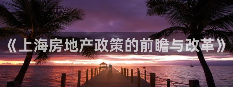 香港和记电讯官网：《上海房地产政策的前瞻与改革》
