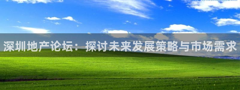 和记3香港 官网：深圳地产论坛：探讨未来发展策略与市场需求