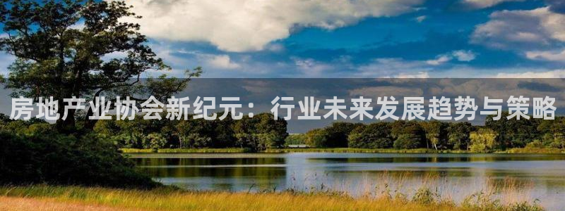 和记官网客服app：房地产业协会新纪元：行业未来发展趋势与策