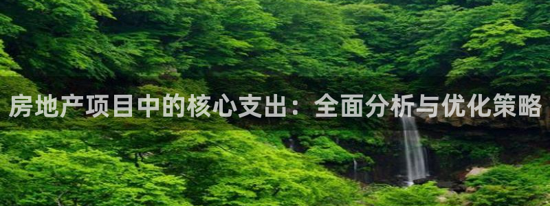 和记官网 公司：房地产项目中的核心支出：全面分析与优化策略
