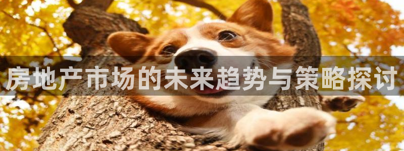 和记黄埔m 官网：房地产市场的未来趋势与策略探讨