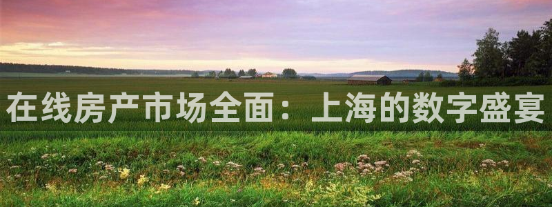 澳门和记客服官网：在线房产市场全面：上海的数字盛宴