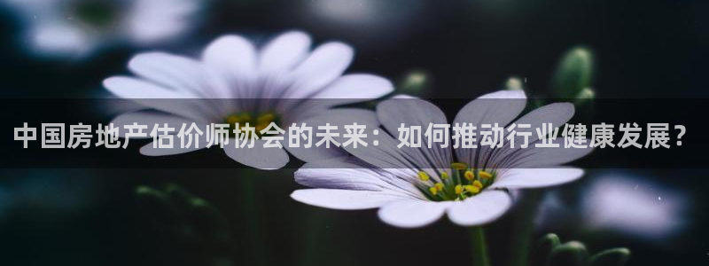 和记h88官网