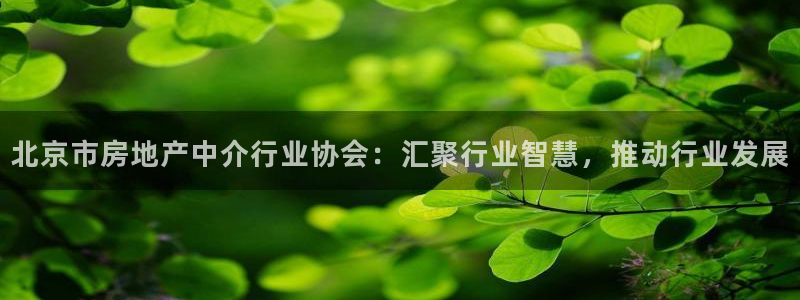和记电游官网：北京市房地产中介行业协会：汇聚行业智慧，推动行
