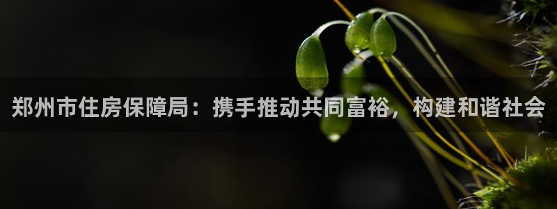 和记国际官网电话：郑州市住房保障局：携手推动共同富裕，构建和