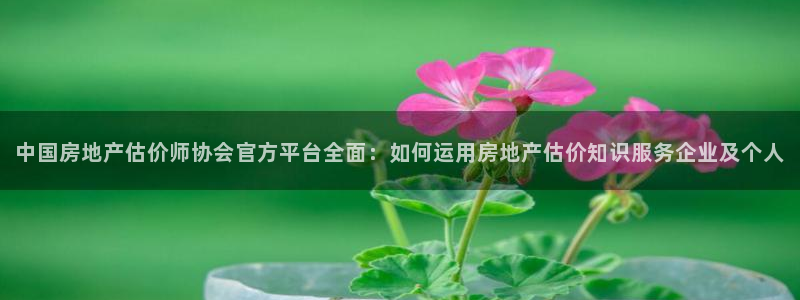 和记娱乐场所官网
