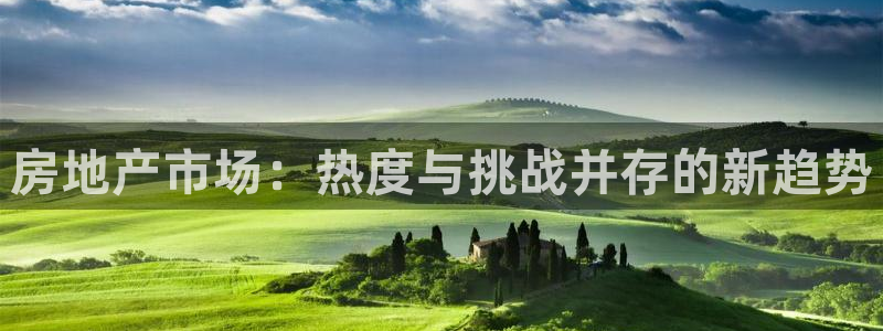 和记官网备用客户端：房地产市场：热度与挑战并存的新趋势