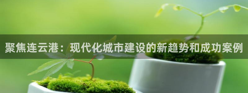 和记官网手机
