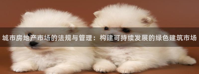 胡和记官网：城市房地产市场的法规与管理：构建可持续发展的绿色