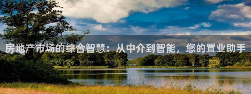 和记卡官网：房地产市场的综合智慧：从中介到智能，您的置业助手