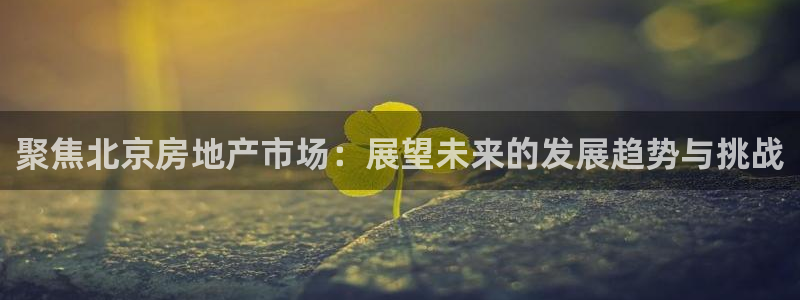 长江和记有限公司官网：聚焦北京房地产市场：展望未来的发展趋势