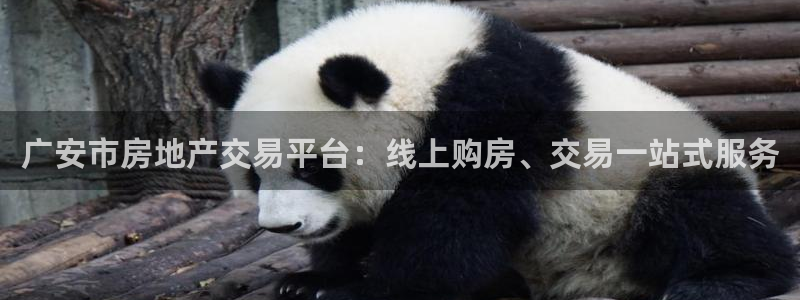 和记备用网官网开户：广安市房地产交易平台：线上购房、交易一站