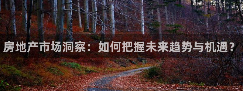和记官网手机新版app下载：房地产市场洞察：如何把握未来趋势