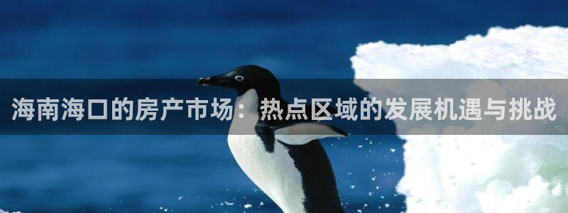 和记娱的确好h88285官网：海南海口的房产市场：热点区域的