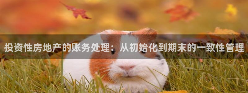 和记国际电讯官网：投资性房地产的账务处理：从初始化到期末的一