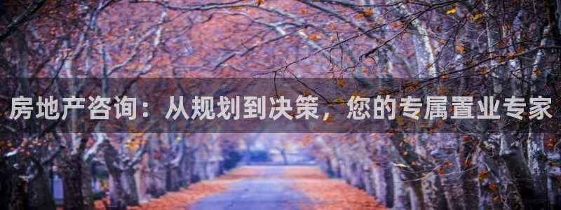 和记体育官网：房地产咨询：从规划到决策，您的专属置业专家