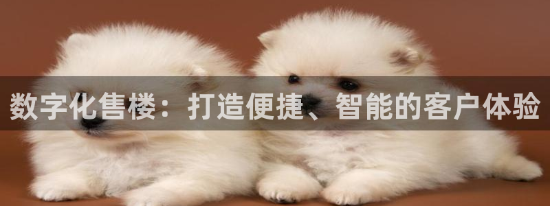 和记3官网：数字化售楼：打造便捷、智能的客户体验