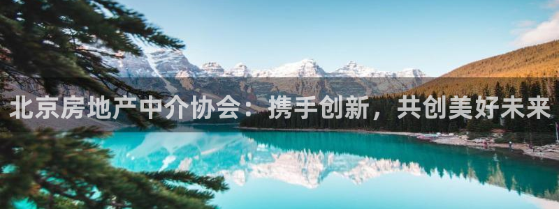 和记官网亚洲唯一官网：北京房地产中介协会：携手创新，共创美好