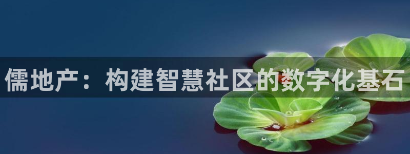 和记3国际万能卡官网：儒地产：构建智慧社区的数字化基石