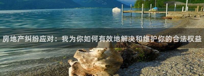 和记官网 公司：房地产纠纷应对：我为你如何有效地解决和维护你