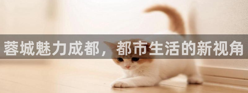 和兴记官网：蓉城魅力成都，都市生活的新视角