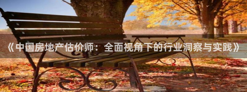 和记官网怡情娱乐：《中国房地产估价师：全面视角下的行业洞察与