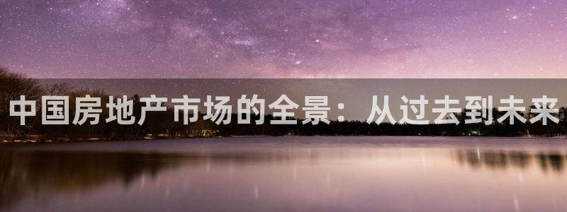 和记黄埔公司官网：中国房地产市场的全景：从过去到未来