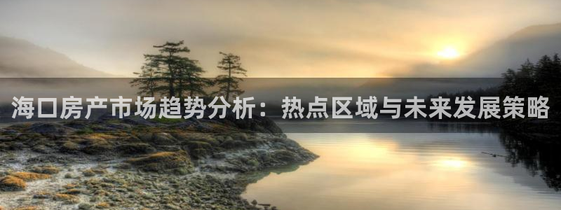 和记3电讯 官网：海口房产市场趋势分析：热点区域与未来发展策