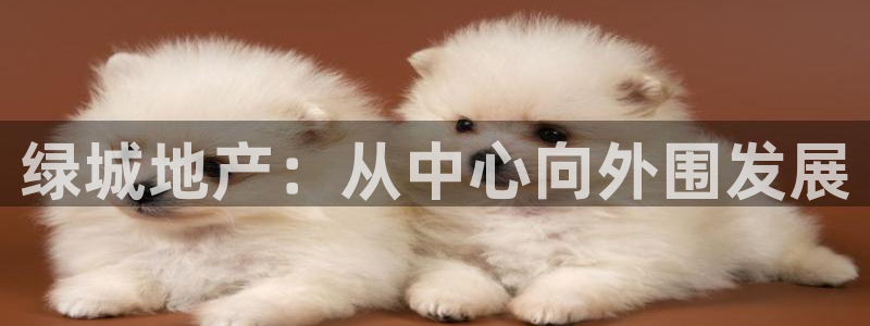 和记黄埔官网：绿城地产：从中心向外围发展