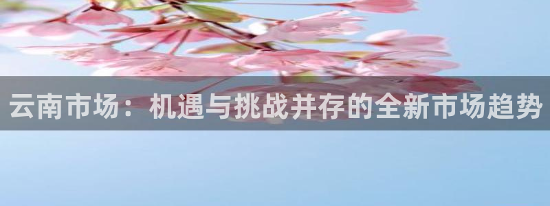 和记娱技精h88285官网