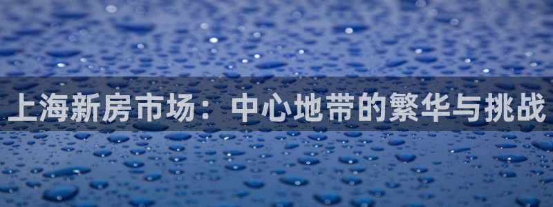 和记娱真好h88285官网：上海新房市场：中心地带的繁华与挑