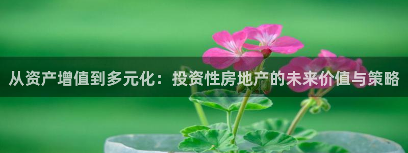 和记大合城dk2官网：从资产增值到多元化：投资性房地产的未来