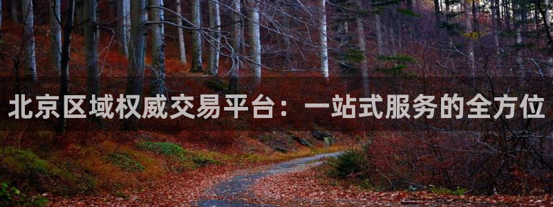 和记开户官网：北京区域权威交易平台：一站式服务的全方位