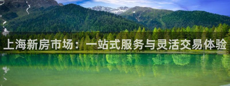 成都和记公司官网：上海新房市场：一站式服务与灵活交易体验