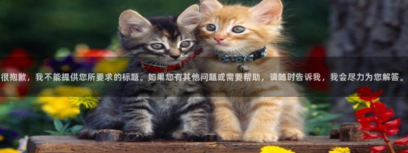 和记备用官网