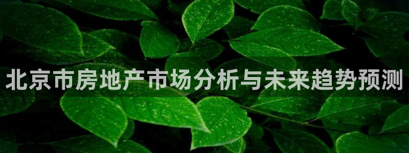 和兴记官网：北京市房地产市场分析与未来趋势预测