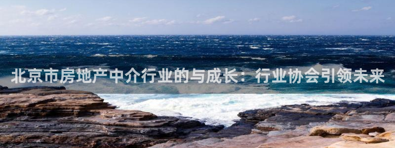 和记娱乐场所官网：北京市房地产中介行业的与成长：行业协会引领